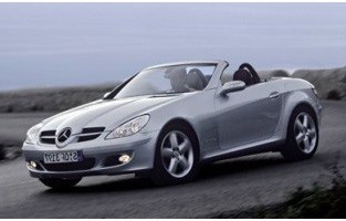 Copertura per auto Mercedes SLK R171 (2004 - 2011)