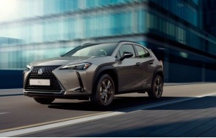 Stuoie economica Lexus Ux Ibrido (2018-presente)