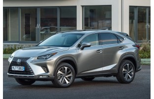 Protezione bagagliaio Lexus NX (2014 - 2021)